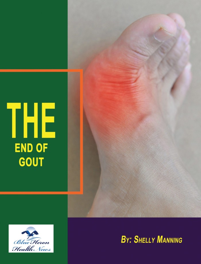 The End of Gout Program